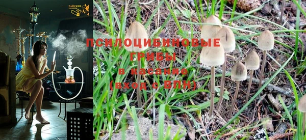 мяу мяу кристалл Новодвинск