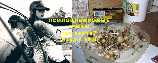 MDMA Premium VHQ Новозыбков