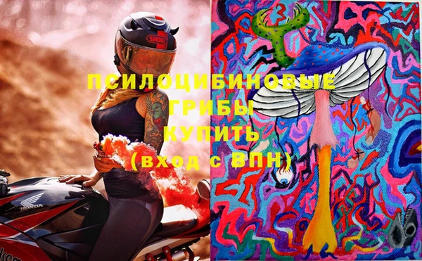 эйфоретик Новокубанск